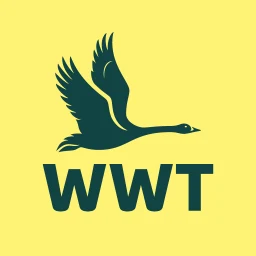 Icône de WWT Washington